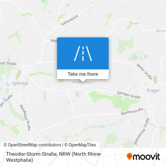 Карта Theodor-Storm-Straße