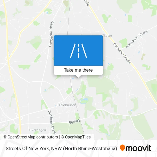 Streets Of New York map