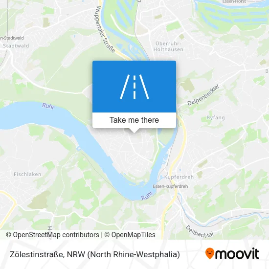 Карта Zölestinstraße