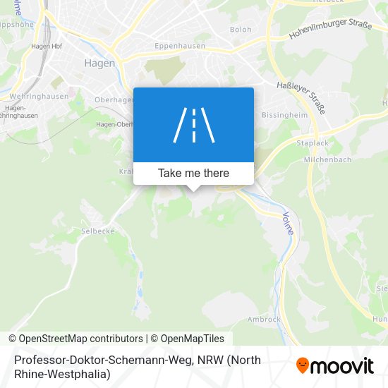 Professor-Doktor-Schemann-Weg map