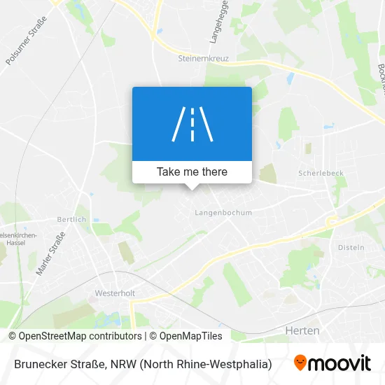 Brunecker Straße map