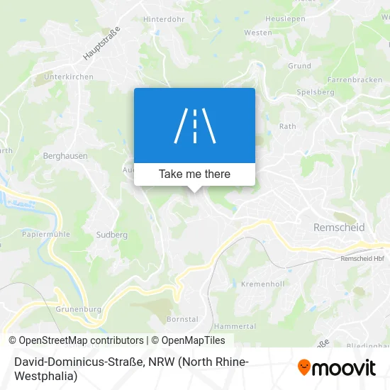 Карта David-Dominicus-Straße