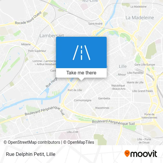 Rue Delphin Petit map