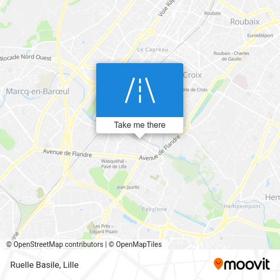 Ruelle Basile map