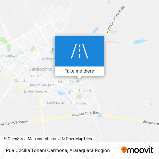 Rua Cecilia Tonani Carmona map