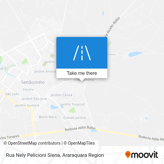Rua Nely Pelicioni Siena map