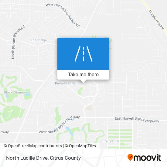 North Lucille Drive map