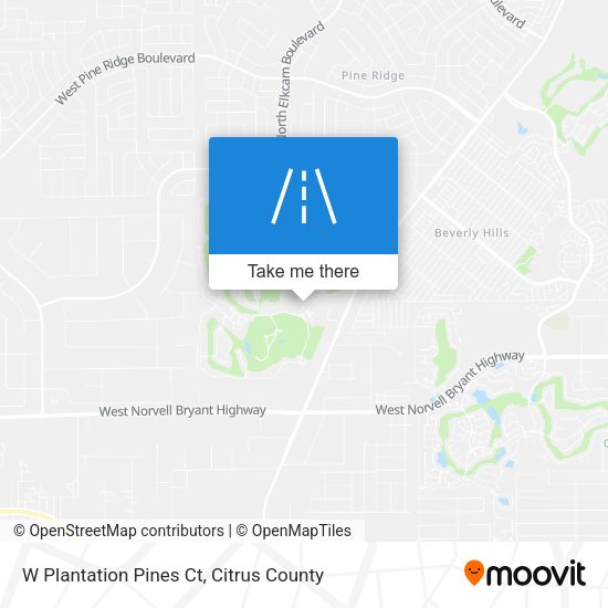 W Plantation Pines Ct map