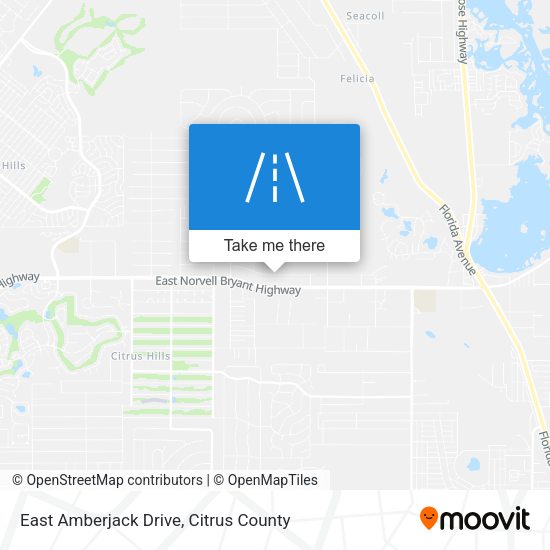 East Amberjack Drive map