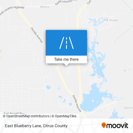 East Blueberry Lane map
