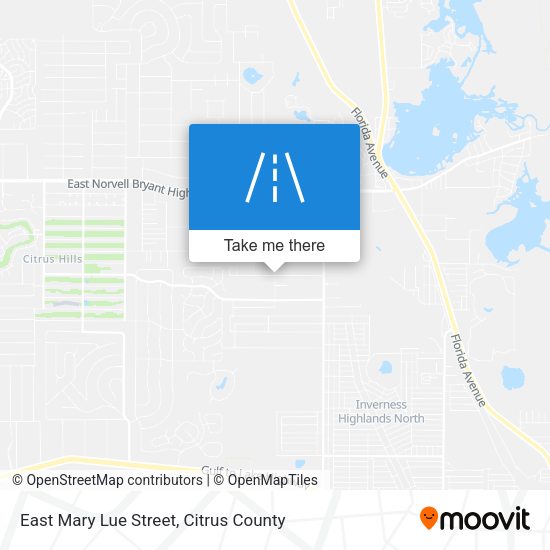 East Mary Lue Street map