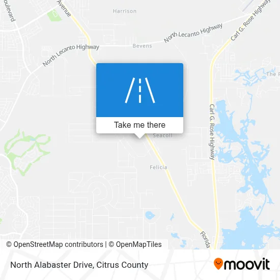 North Alabaster Drive map