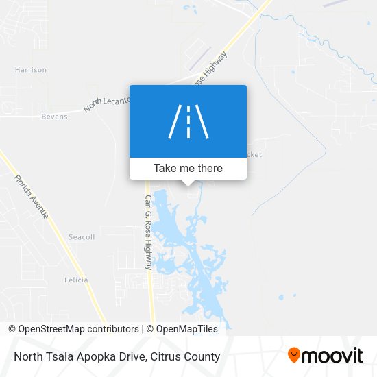 North Tsala Apopka Drive map