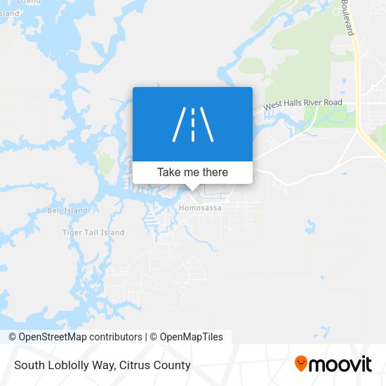 Mapa de South Loblolly Way