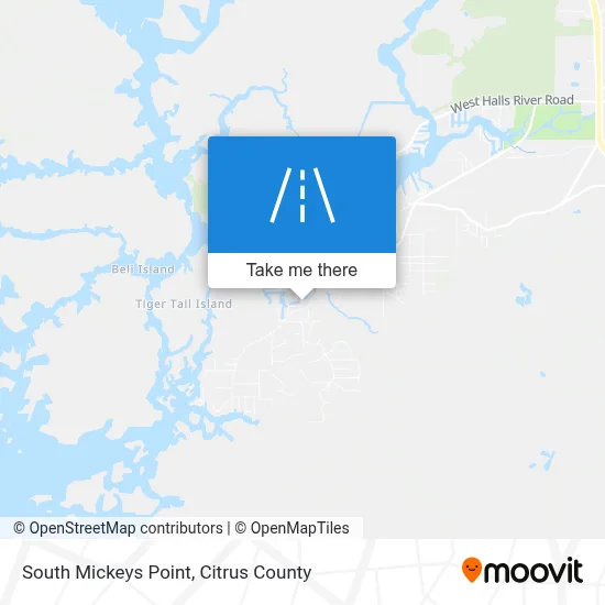 South Mickeys Point map