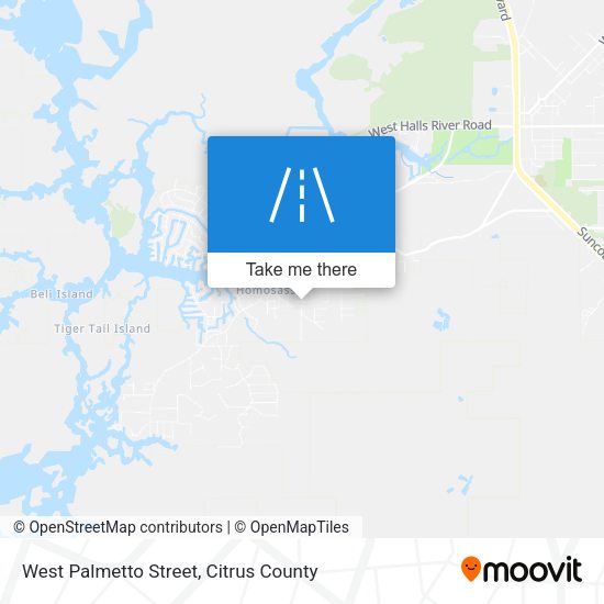 West Palmetto Street map