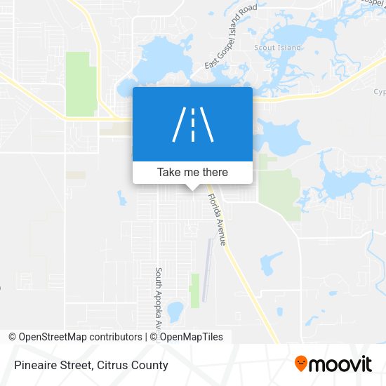 Mapa de Pineaire Street