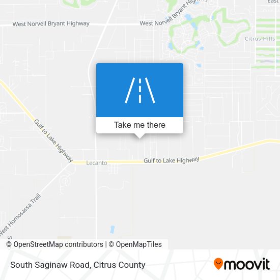 South Saginaw Road map