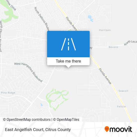 East Angelfish Court map