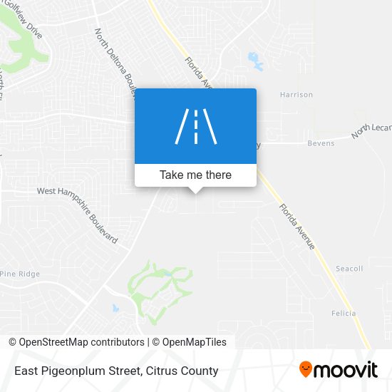 East Pigeonplum Street map