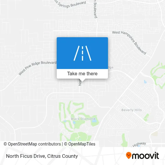North Ficus Drive map