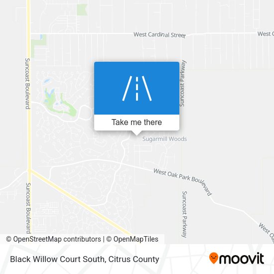 Mapa de Black Willow Court South