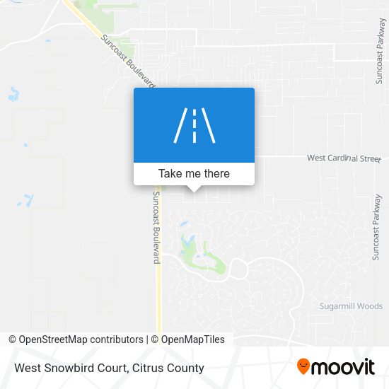 Mapa de West Snowbird Court