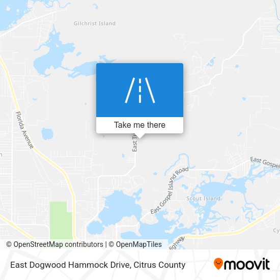 East Dogwood Hammock Drive map