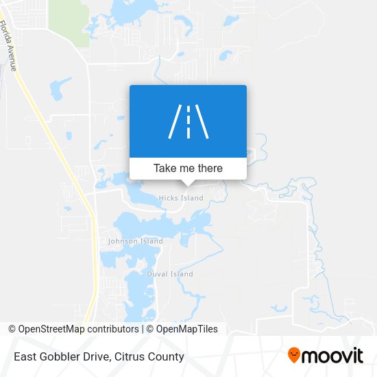 East Gobbler Drive map