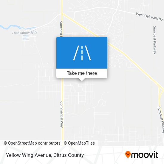 Mapa de Yellow Wing Avenue