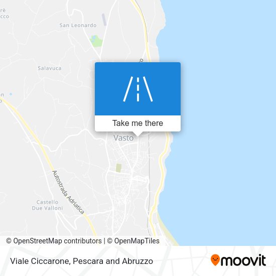 Viale Ciccarone map