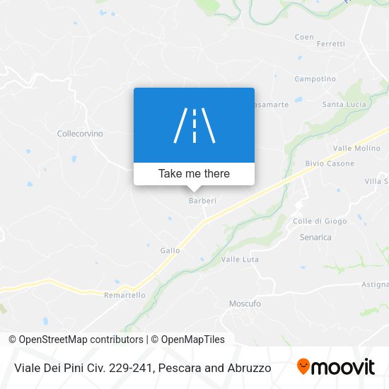 Viale Dei Pini Civ. 229-241 map
