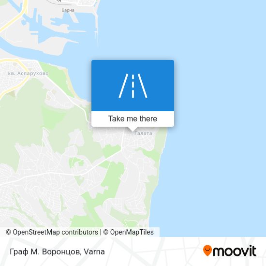 Граф М. Воронцов map