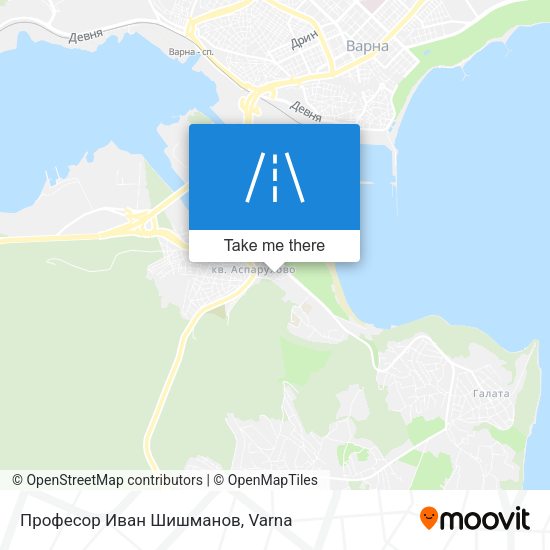 Професор Иван Шишманов map