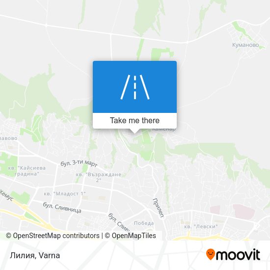 Карта Лилия