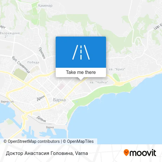 Карта Доктор Анастасия Головина