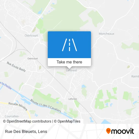 Rue Des Bleuets map