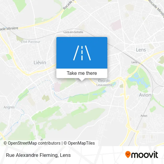 Rue Alexandre Fleming map