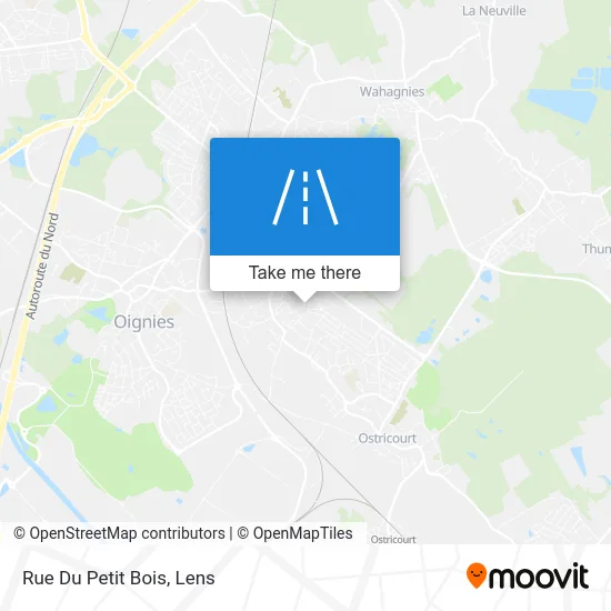 Rue Du Petit Bois map