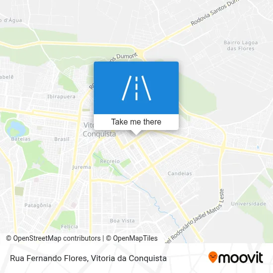 Rua Fernando Flores map