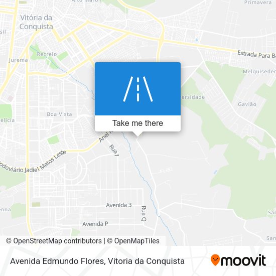 Avenida Edmundo Flores map