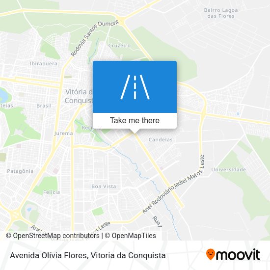 Avenida Olívia Flores map