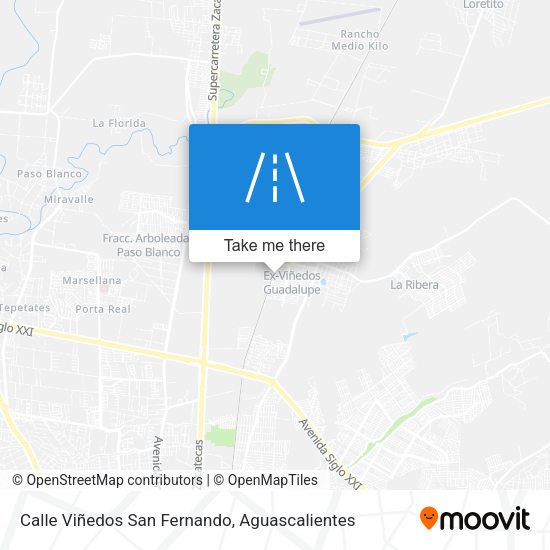 Calle Viñedos San Fernando map