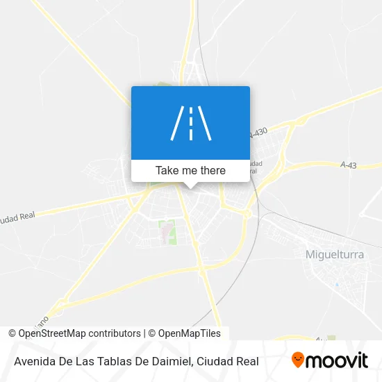 Avenida De Las Tablas De Daimiel map