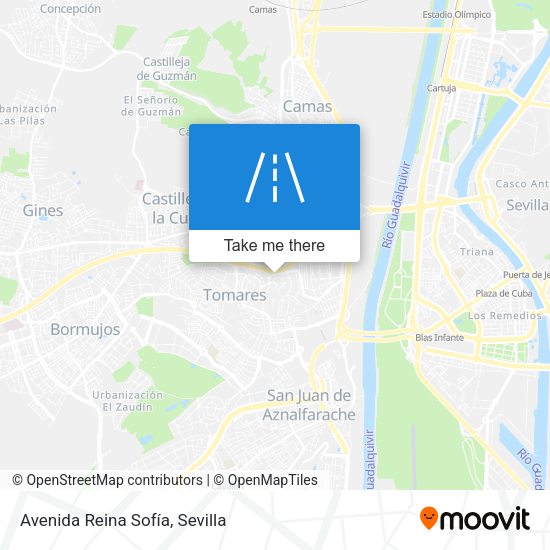 Avenida Reina Sofía map