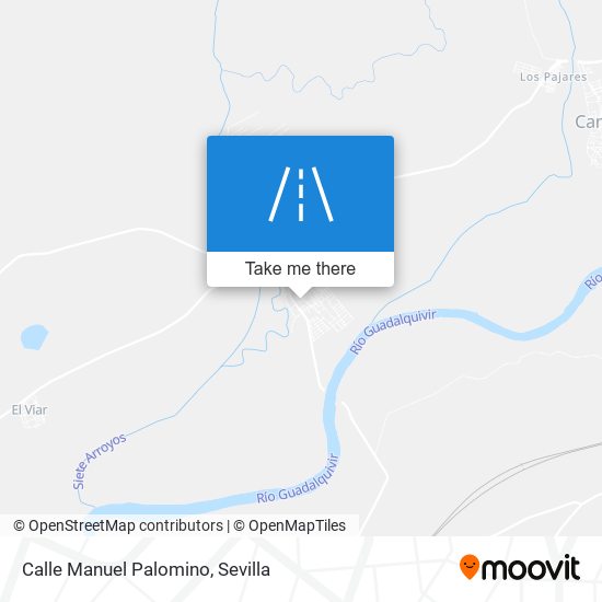 Calle Manuel Palomino map