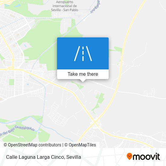 Calle Laguna Larga Cinco map