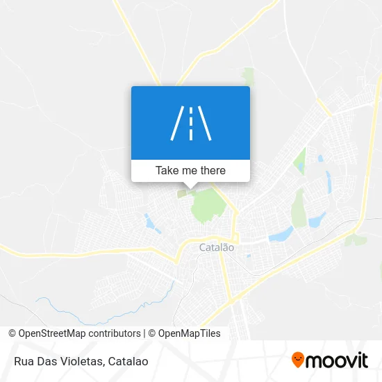 Rua Das Violetas map