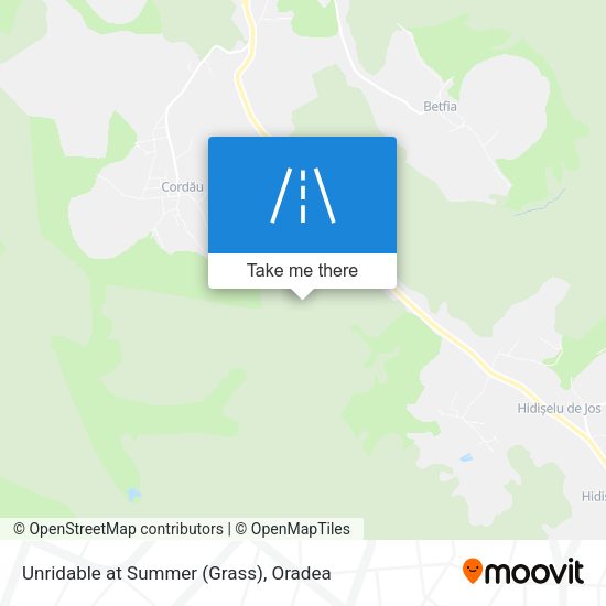 Unridable at Summer (Grass) map