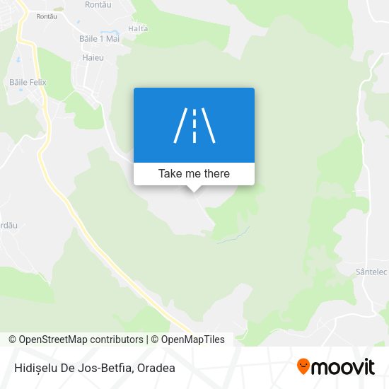 Hidișelu De Jos-Betfia map